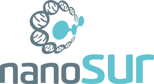 Winner small image - nanoSUR